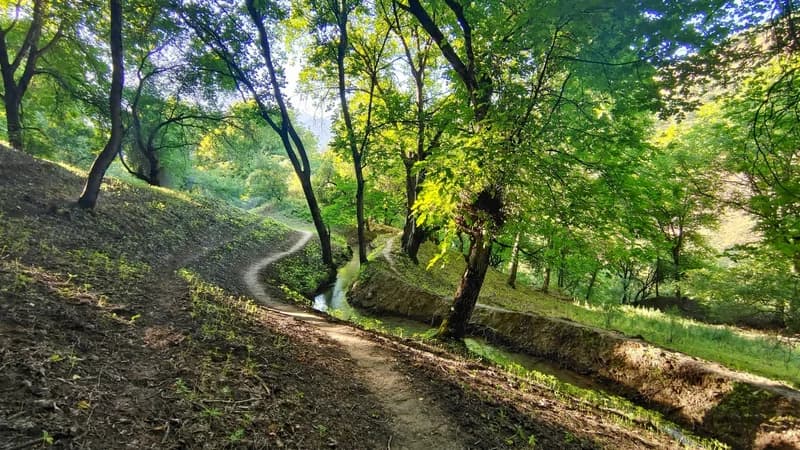 Ispay Waterfall and Cave - 6