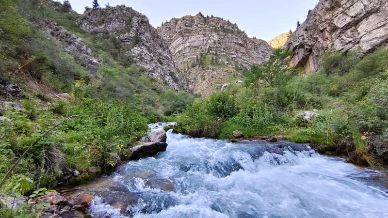 Ispay Waterfall and Cave - 5
