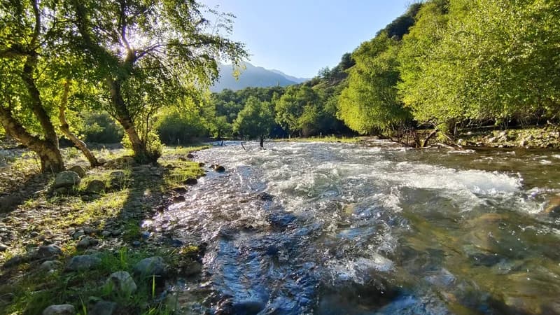 Ispay Waterfall and Cave - 7