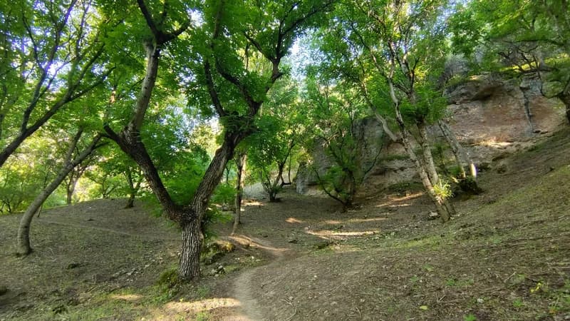 Ispay Waterfall and Cave - 8