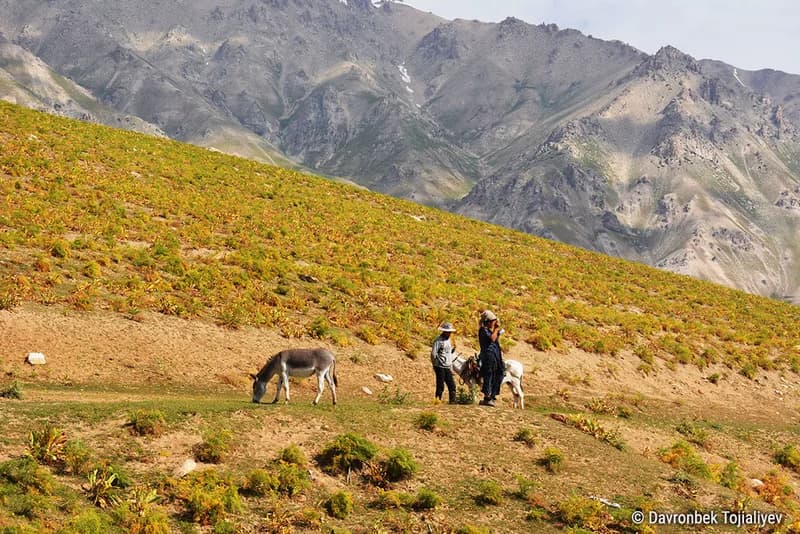 Arashan Peak and Lakes - 11