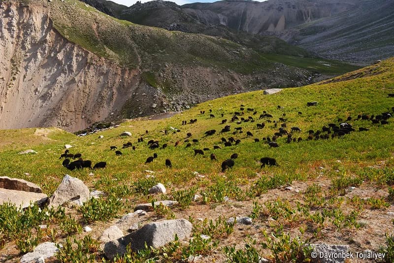 Arashan Peak and Lakes - 6