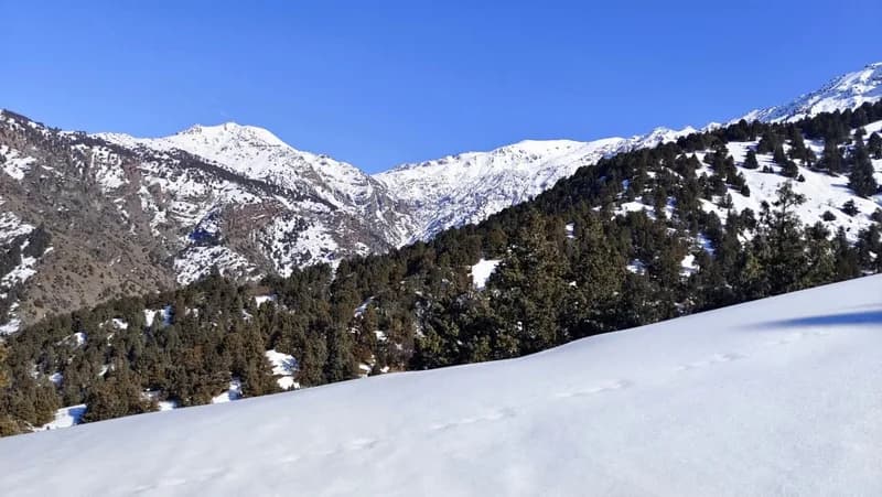Lashkarak waterfall (25m) - 11