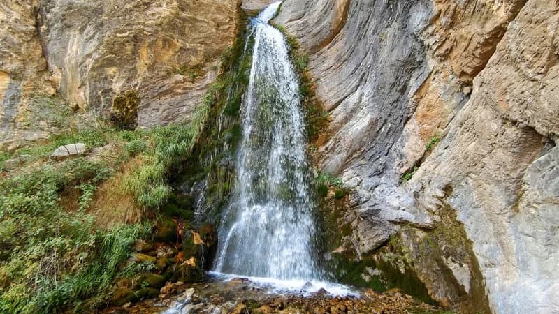 Navalisay - 5