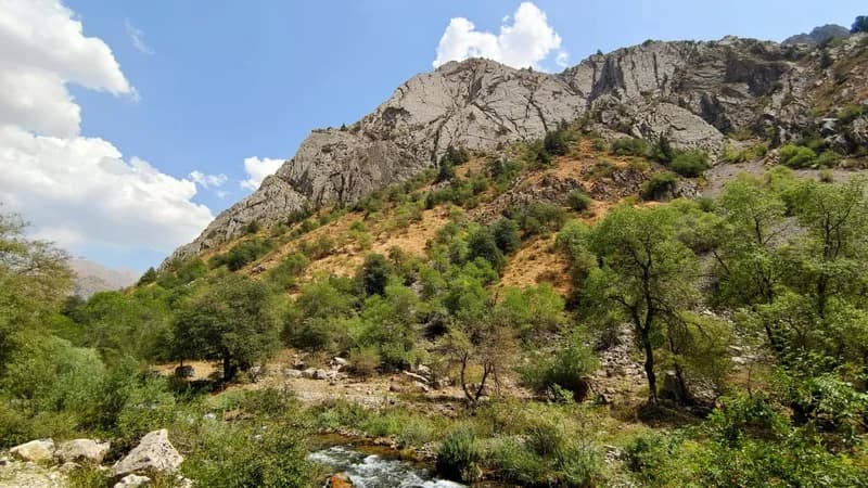 Navalisay - 4