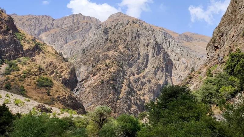 Navalisay - 2