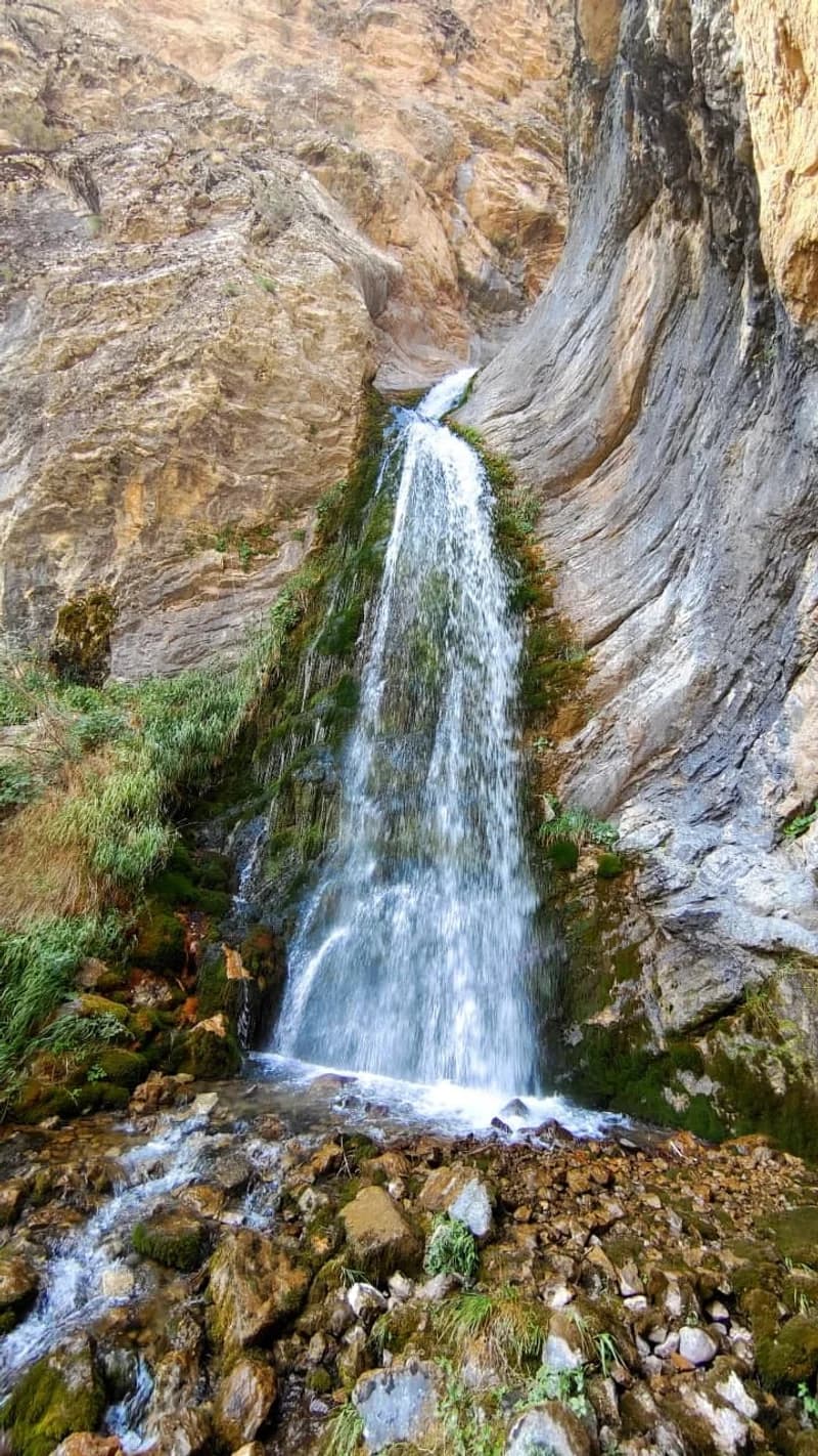 Navolisoy