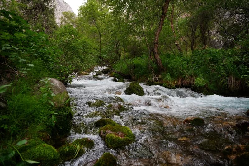 Ispay Waterfall and Cave - 11