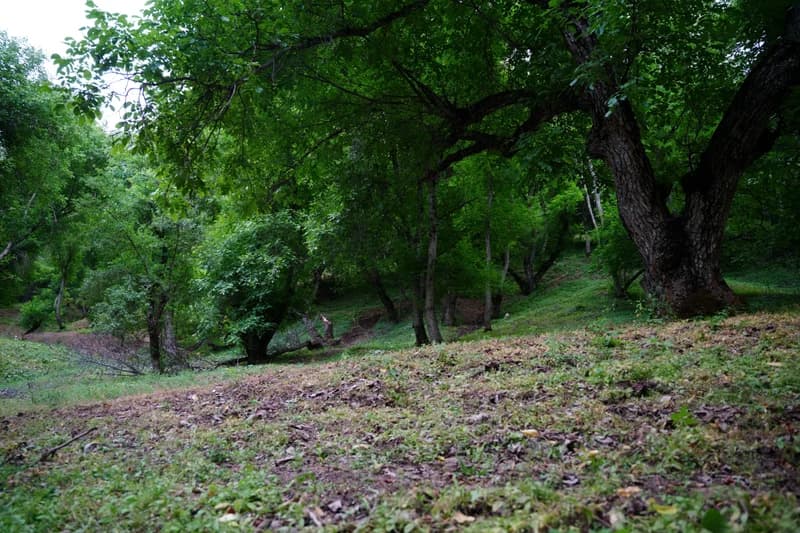 Ispay Waterfall and Cave - 12