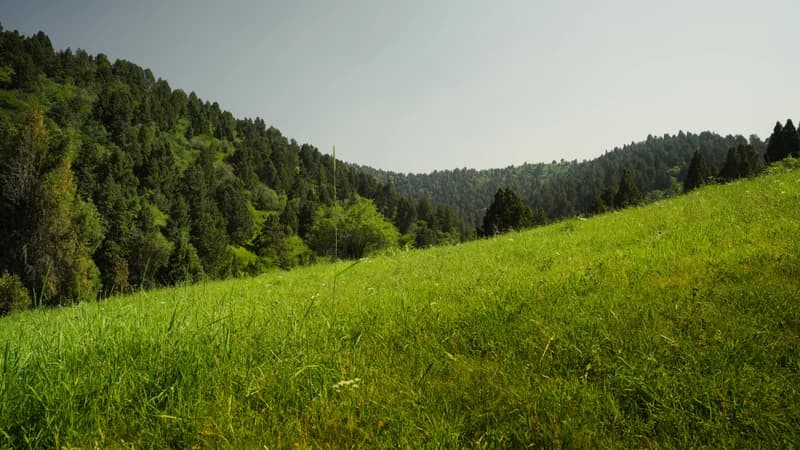 Blue Mountains - 5