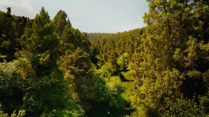 Lashkarak waterfall (25m) - 2