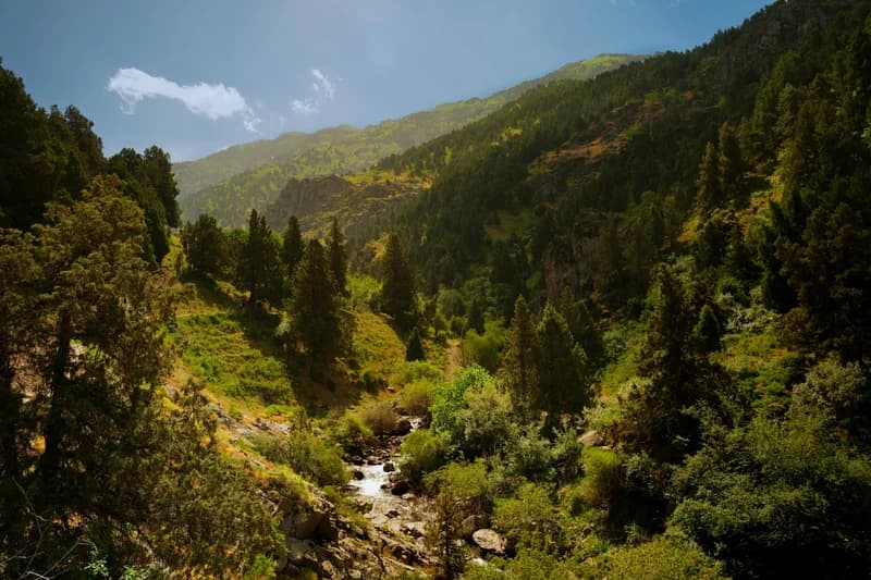 Lashkarak waterfall (25m) - 5