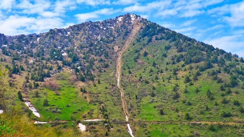 Paltog' Sharsharasi (38 m.) va Cho'qqisi (2024 m.)