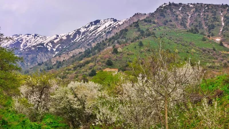 Paltau Waterfall (38 m.) and Peak (2024 m.) - 2