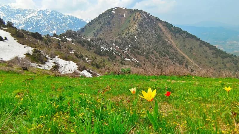 Paltau Waterfall (38 m.) and Peak (2024 m.) - 6
