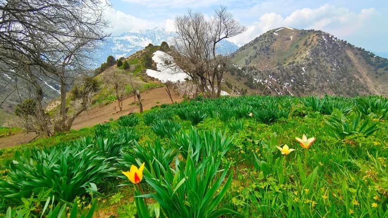 Paltau Waterfall (38 m.) and Peak (2024 m.) - 7