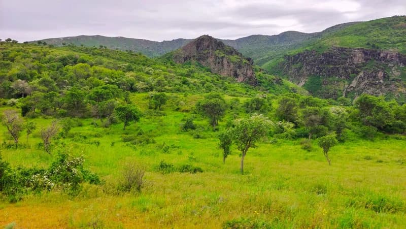Kungurbuka (1980 m) - 10