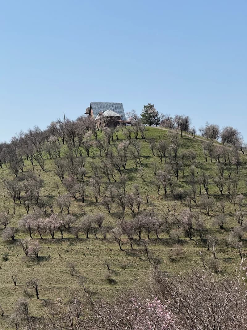 Buritau - 3