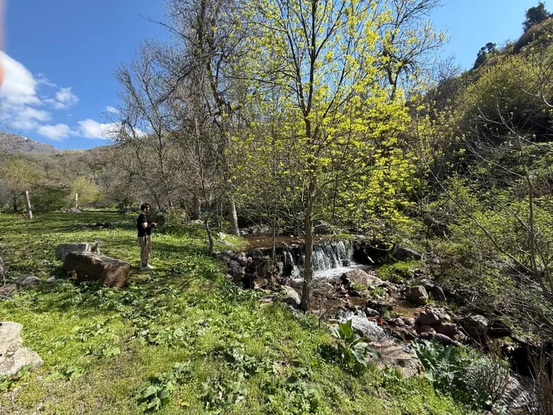 Aktash Waterfalls and the Old Artists' Cottage - 2