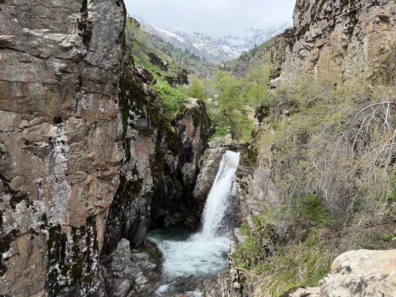 Karakia Waterfalls and Petroglyphs - 6