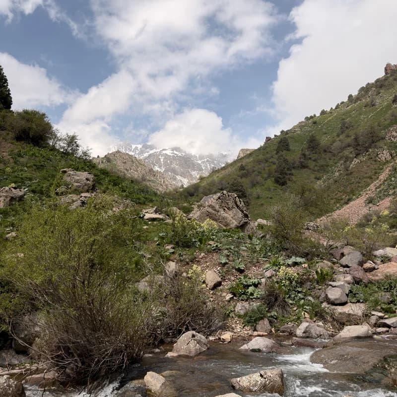 Karakia Waterfalls and Petroglyphs - 3