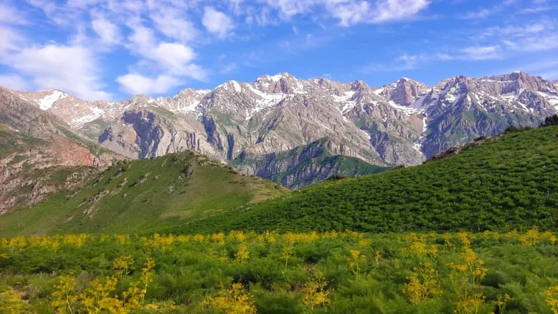 Ispay Peak (2553 m.) - 8