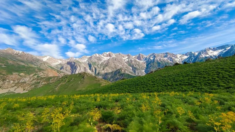 Ispay Peak (2553 m.) - 5