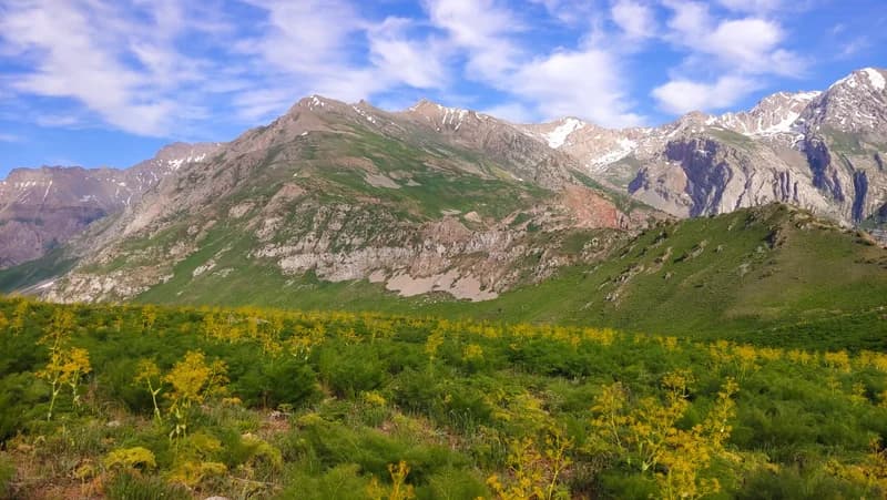 Ispay Peak (2553 m.) - 2