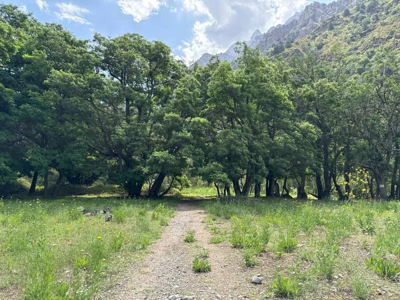 Koksu Campsite #4