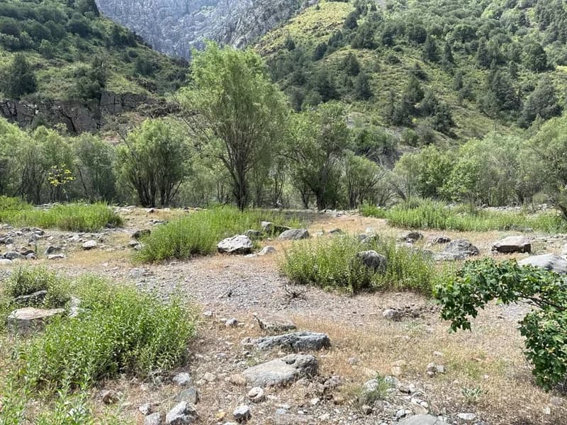 Koksu Campsite #6