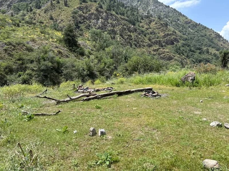 Koksu Campsite #7