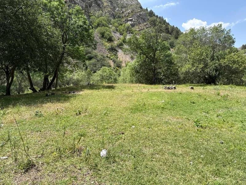 Koksu Campsite #8