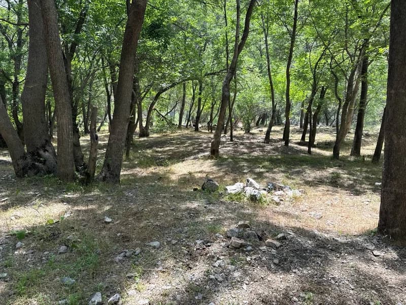 Koksu Campsite #9