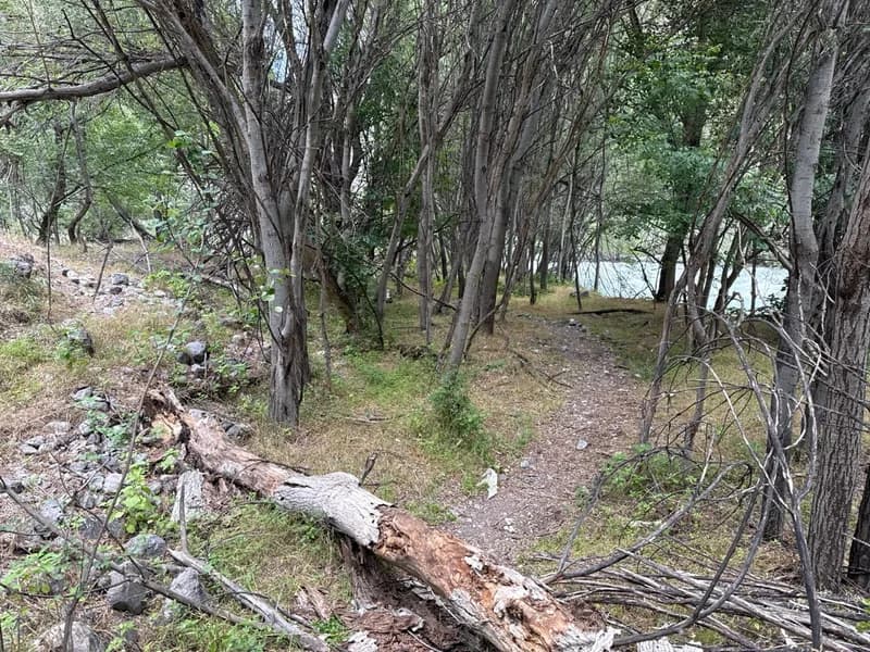 Koksu Campsite #13