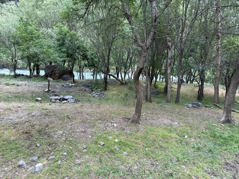 Koksu Campsite #15