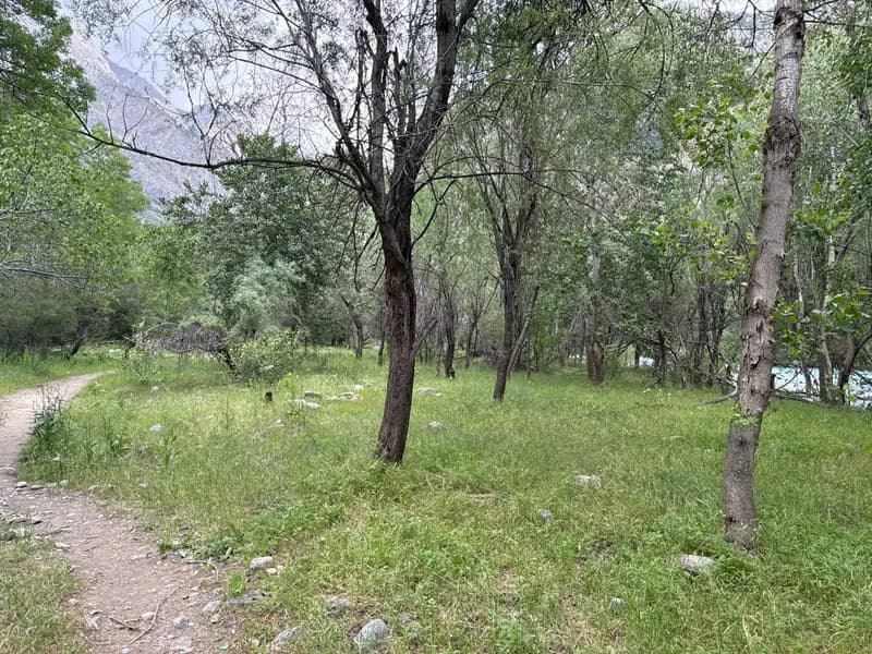 Koksu Campsite #16