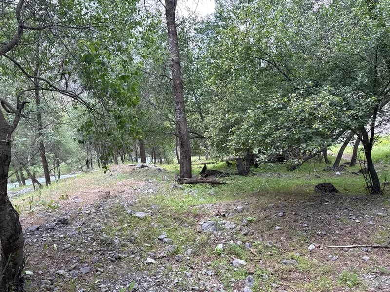 Koksu Campsite #18