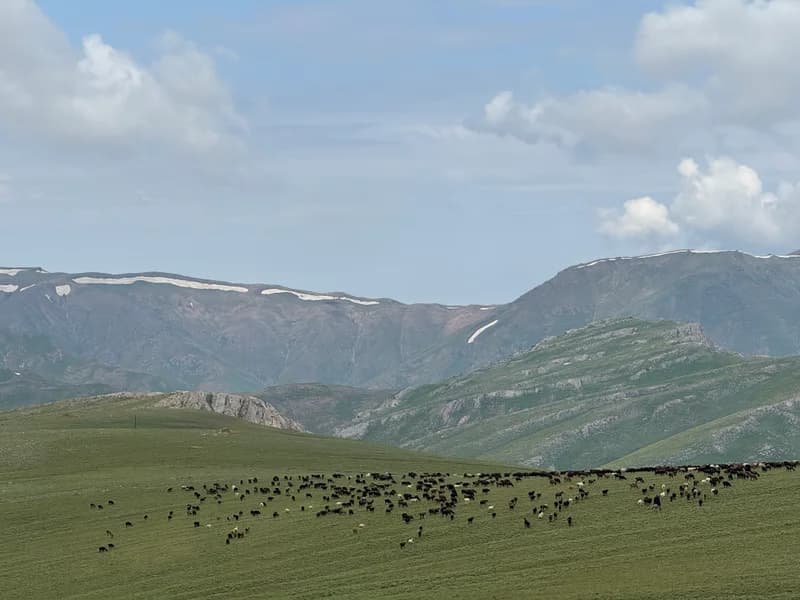 Plateau Pulatxan (2823 m.) + Peak Karangur (2942 m.) - 6